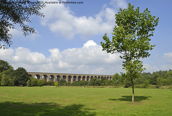 Chappel Viaduct Essex Picture Board by Diana Mower