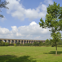 Buy canvas prints of Chappel Viaduct Essex by Diana Mower