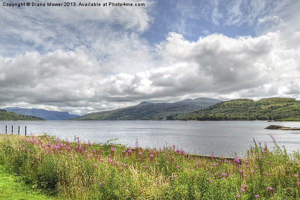 Loch Katrine Scotland Picture Board by Diana Mower