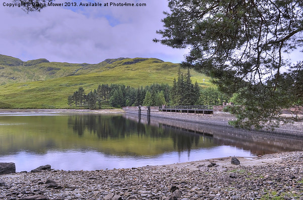 Loch Arklet Dam Scotland Picture Board by Diana Mower
