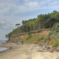 Buy canvas prints of East Mersea cliffs  Essex by Diana Mower