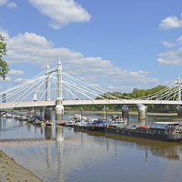 Buy canvas prints of Albert Bridge London by Diana Mower