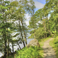 Buy canvas prints of Loch Lomond Path Scotland  by Diana Mower