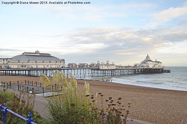 Eastbourne Beach and Pier Sussex Picture Board by Diana Mower