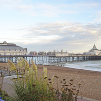 Buy canvas prints of Eastbourne Beach and Pier Sussex by Diana Mower