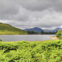Buy canvas prints of Loch Arklet Scotland by Diana Mower