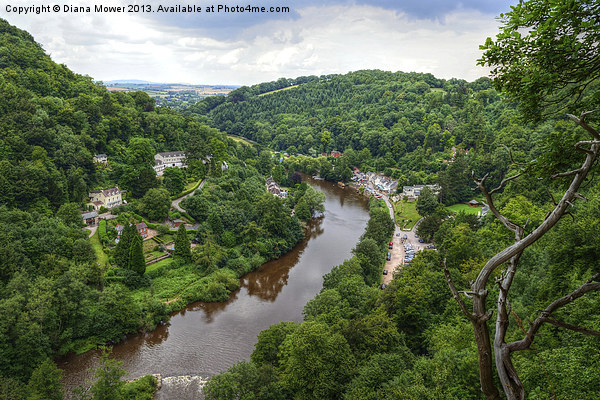 Symonds Yat Wye Valley Picture Board by Diana Mower