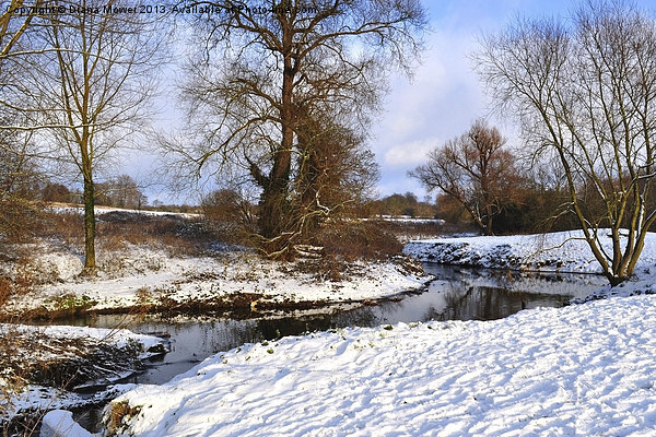 Bocking river in Winter Snow Picture Board by Diana Mower
