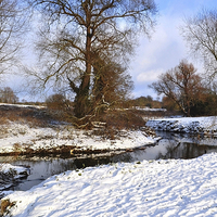 Buy canvas prints of Bocking river in Winter Snow by Diana Mower