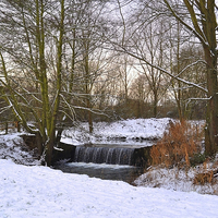 Buy canvas prints of River Pant in Winter snow by Diana Mower