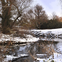 Buy canvas prints of River Pant Braintree and Bocking Essex by Diana Mower