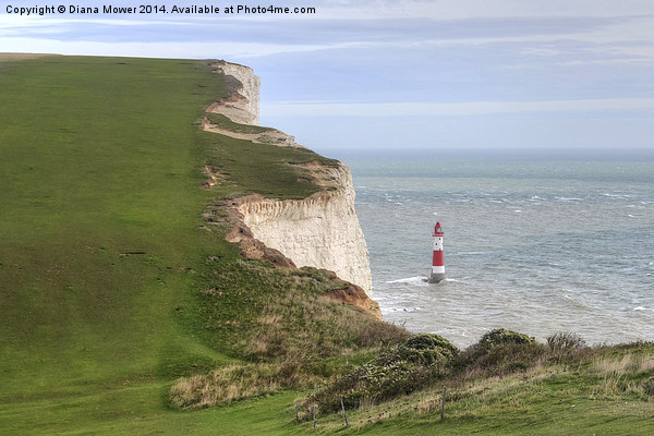 Beachy Head East Sussex Picture Board by Diana Mower