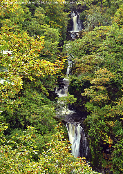 Pistyll Rhaeadr Waterfall Wales Picture Board by Diana Mower