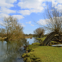 Buy canvas prints of River Stour Dedham and Flatford by Diana Mower