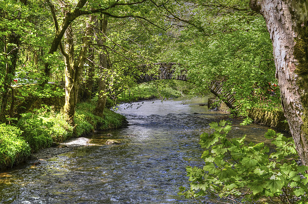 Ambleside River Cumbria  Picture Board by Diana Mower