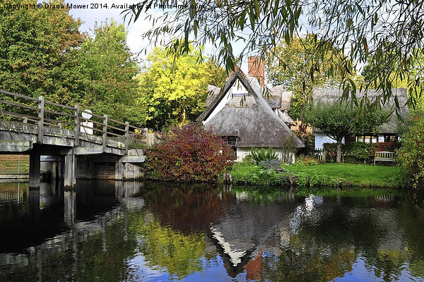 Bridge Cottage Flatford Mill Picture Board by Diana Mower