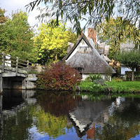 Buy canvas prints of Bridge Cottage Flatford Mill by Diana Mower