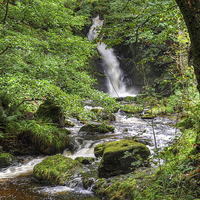 Buy canvas prints of Dolgoch Falls Wales by Diana Mower