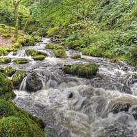 Buy canvas prints of Dolgoch Falls Wales by Diana Mower