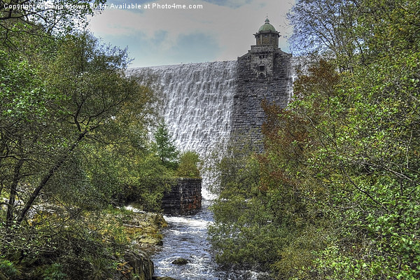 Penygarreg dam and stream Wales Picture Board by Diana Mower
