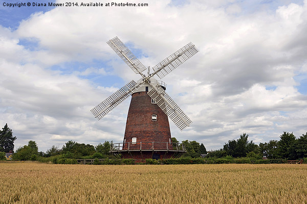 Thaxted Windmill Essex Picture Board by Diana Mower