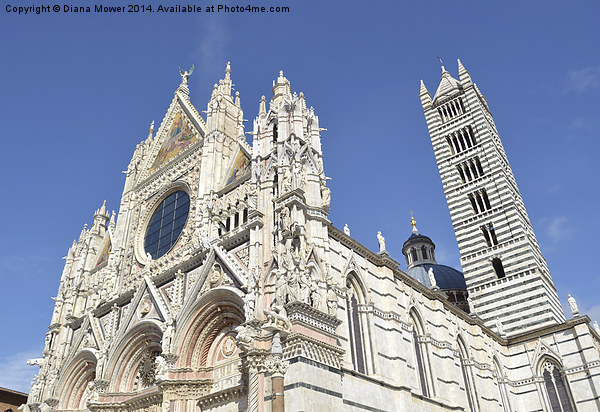 Siena Cathredral Italy Picture Board by Diana Mower