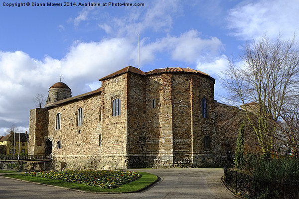 Colchester Castle Picture Board by Diana Mower