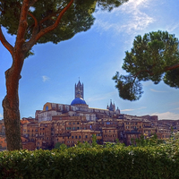 Buy canvas prints of Siena by Diana Mower