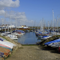 Buy canvas prints of Tollesbury Marina by Diana Mower