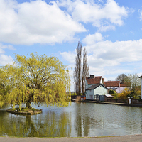 Buy canvas prints of Village pond Dunmow by Diana Mower