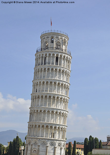 Leaning Tower of Pisa Picture Board by Diana Mower