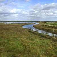 Buy canvas prints of Tollesbury Marshes by Diana Mower