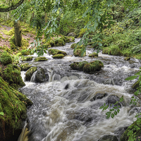 Buy canvas prints of Dolgoch Falls by Diana Mower