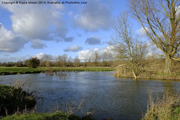 The River Stour at Flatford Picture Board by Diana Mower