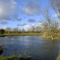 Buy canvas prints of The River Stour at Flatford by Diana Mower
