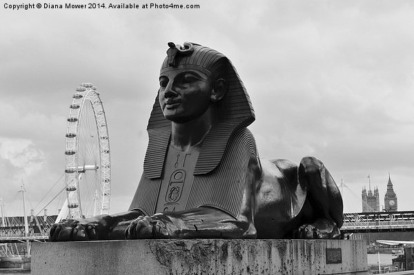 Sphinx London Picture Board by Diana Mower