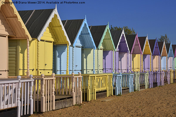 Beach Huts Picture Board by Diana Mower