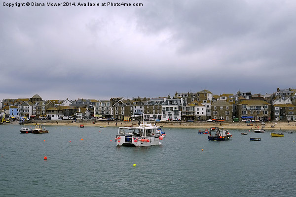 St Ives Picture Board by Diana Mower