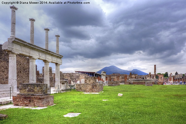 Pompeii Picture Board by Diana Mower