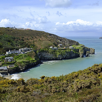 Buy canvas prints of St Agnes Cornwall by Diana Mower