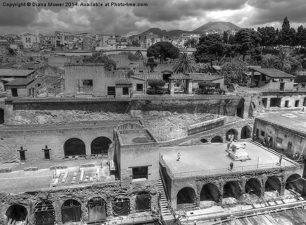 Herculaneum Picture Board by Diana Mower