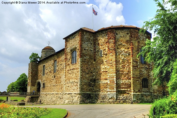 Colchester Castle Picture Board by Diana Mower