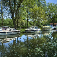 Buy canvas prints of River Chelmer by Diana Mower