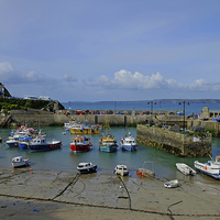 Buy canvas prints of Newquay Harbour by Diana Mower