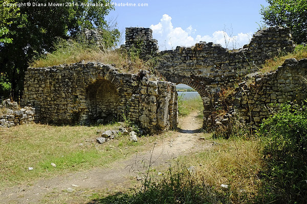 Butrint Albania Picture Board by Diana Mower