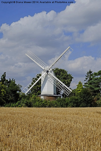  Bocking Windmill Picture Board by Diana Mower