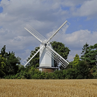 Buy canvas prints of  Bocking Windmill by Diana Mower