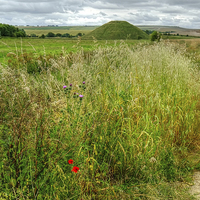 Buy canvas prints of  Silbury Hill by Diana Mower