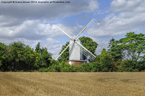 Bocking Windmill  Picture Board by Diana Mower