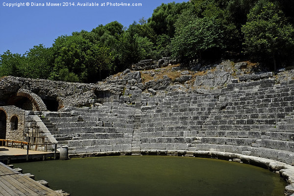  Butrint, Albania Picture Board by Diana Mower